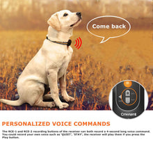 Load image into Gallery viewer, 【Version 2 Collars】Dog Training Collar/Dog Shock Collar--2000 ft Remote Range--Personalized Voice Commands-CPS6-2
