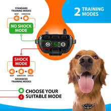 Load image into Gallery viewer, Bark Collar-Shock Collar-CNABT009
