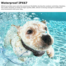 Load image into Gallery viewer, [Version for 2 Dogs]Dog Training Collar/Dog Shock Collar--1300 ft Remote Range-- Rechargeable/Waterproof IP67-MR002
